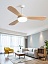 Люстра-вентилятор DREAMFAN Cocos LED DC 132 (50004DC)